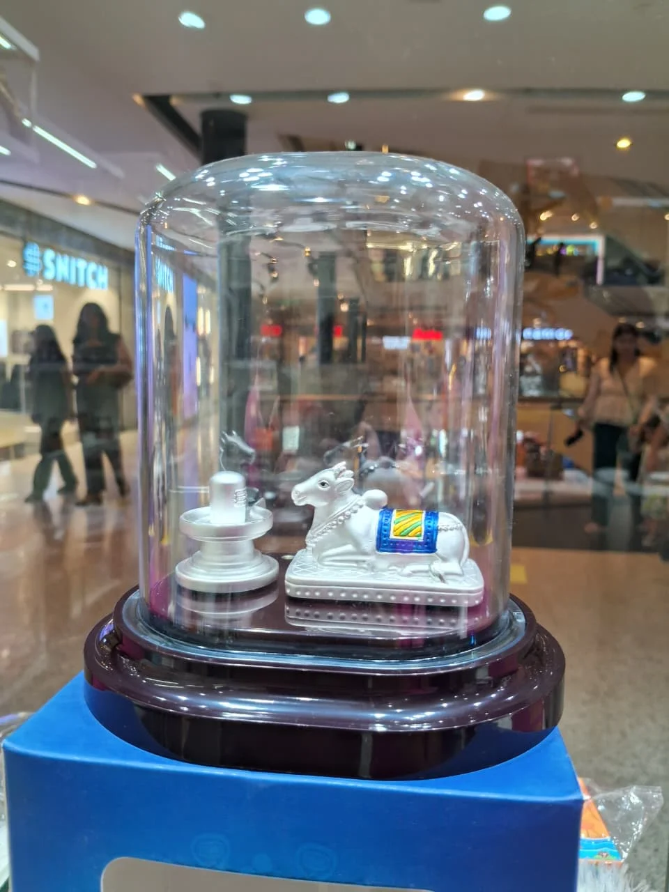 WhatsApp Image 2025-10-06 at 5.51.20 PM (1)